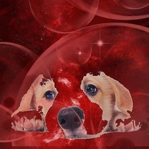 Custom digital photos